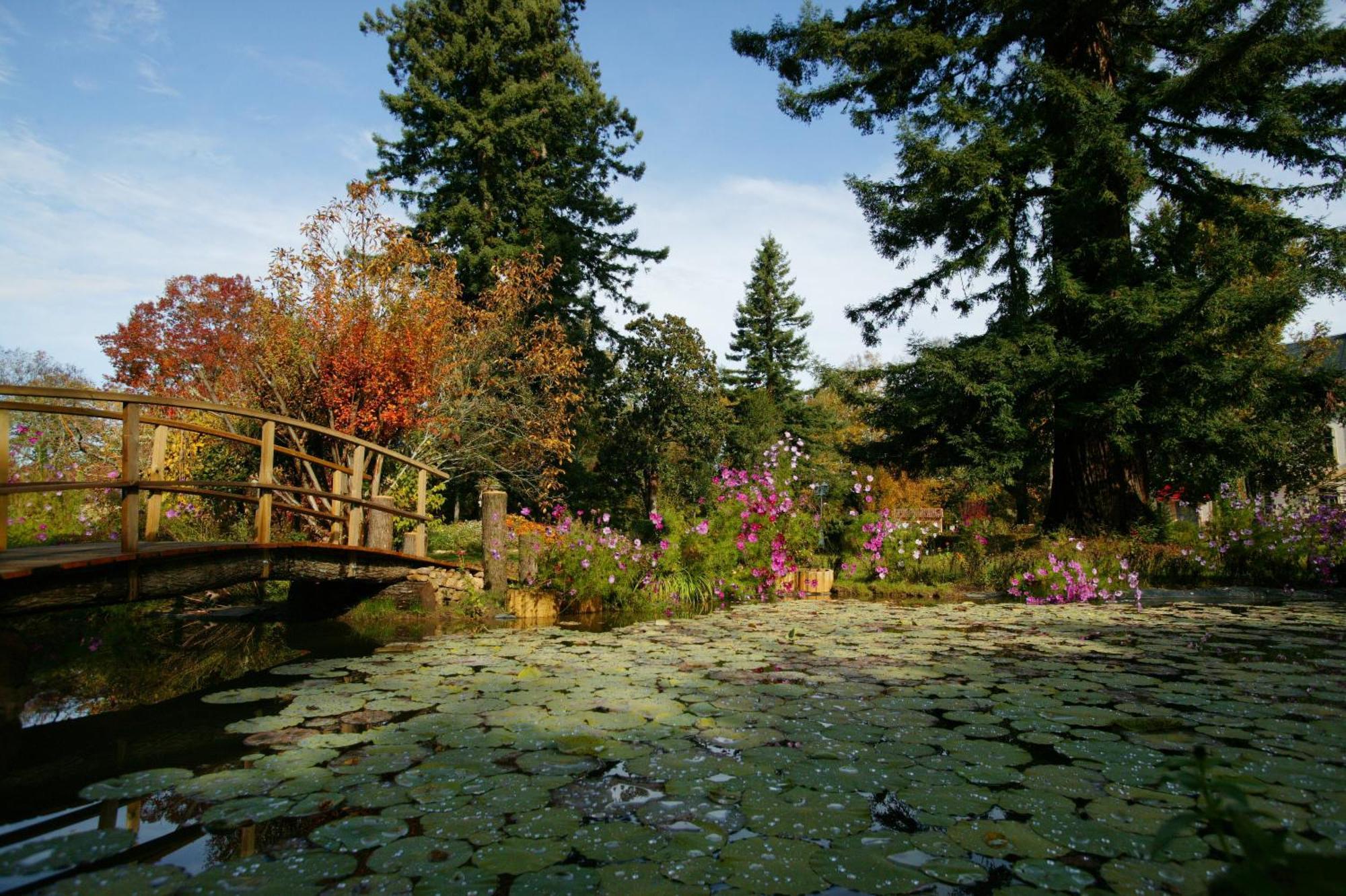 Le Manoir De Bellerive Hotel Le Buisson-de-Cadouin Bagian luar foto